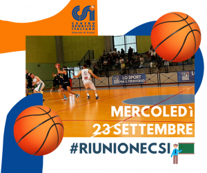 Copia di pallacanestro