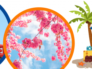 Tessere, patrocinio e corsi – Primavera ed estate al CSI TREVISO